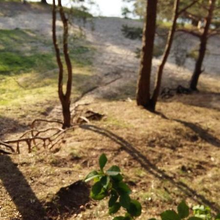 Natur-Freude-16 Kotzen Bagian luar foto